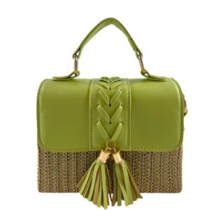 CARTERA PLAYA DAMA 19X16CM