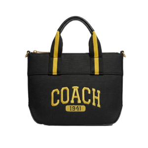 CARTERAS COACH 2025-219